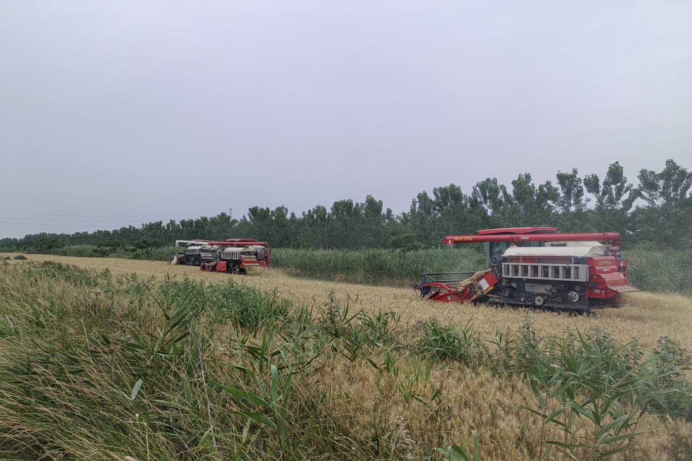 9fc1e97348a3546280045e2ea280289