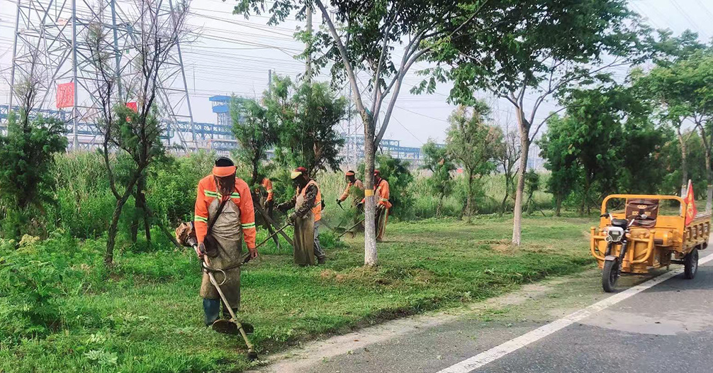 b1df8ebd90a06dc4b5732691de94450d